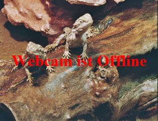 /images/webcam.gif